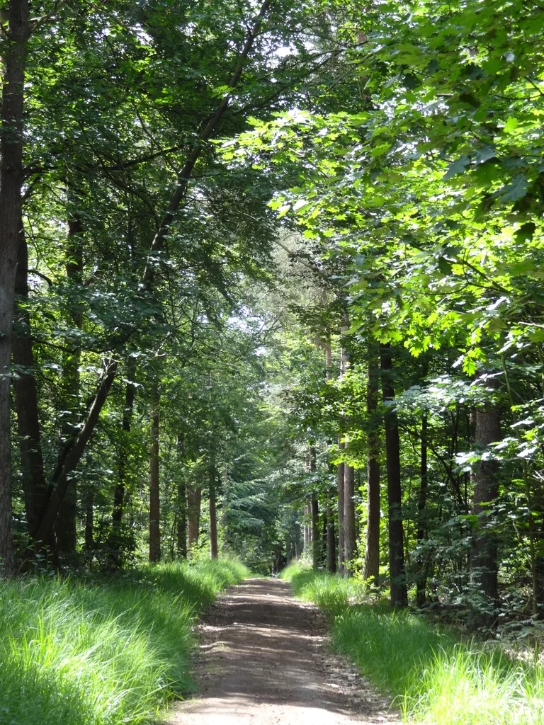 Stuwwallen bij Nijmegen